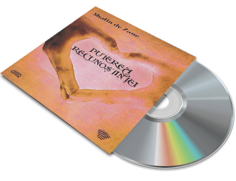 MP3 - Puterea Recunoștinței, de Shafin de Zane